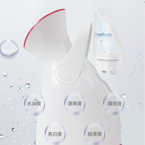 雾锁脸庞，解语容颜的秘密武器\n——浅析现代热喷蒸脸器的健康美容功效